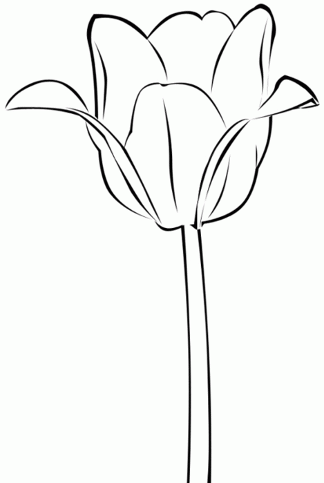 Распечатать цветок тюльпан для вырезания. Трафарет тюльпана для вырезания. Контур цветка тюльпана. Тюльпан раскраска. Тюльпан раскраска для детей.